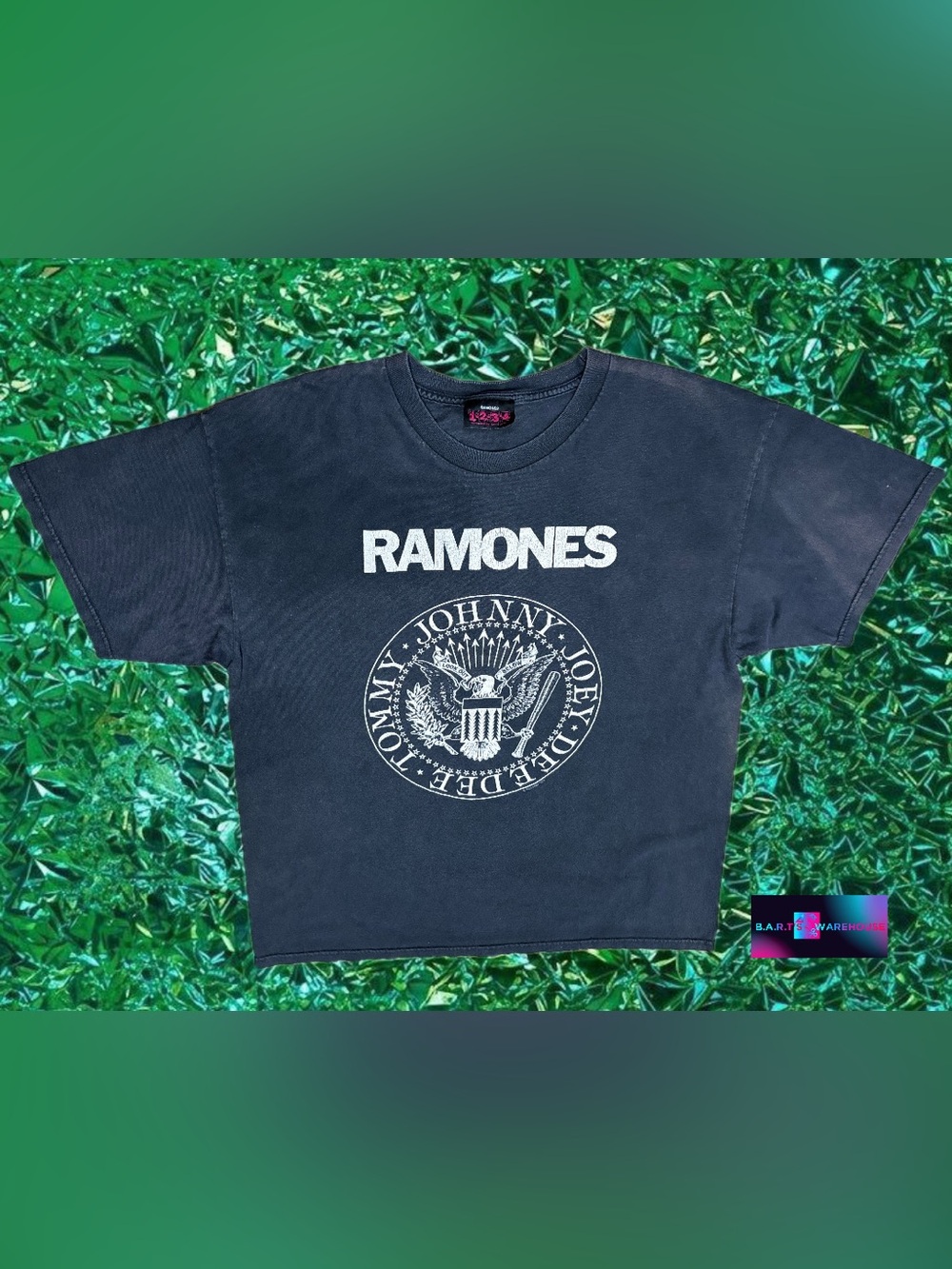 The Ramones Band Graphic Tee Black Size L